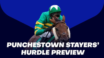 Ladbrokes Champion Stayers Hurdle Tips: Bob the value play in Punchestown Grade 1