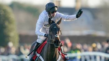 Ladbrokes Christmas Hurdle report and replay: Constitution Hill wins agin