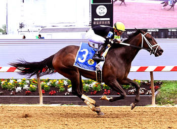 Lady Scarlet Pounces Late in Miss Preakness