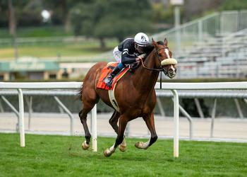 Lane Way Could Be Tough To Beat Over Santa Anita Downhill Turf