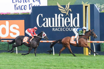 Late Stradbroke Handicap plunge on long shot