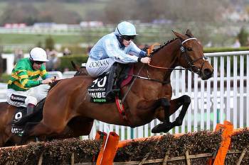 Latest Mares' Hurdle Odds: Honeysuckle 11/4 Favourite To Triumph