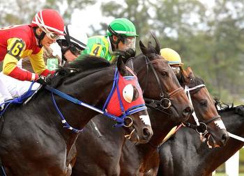 Laurel Park’s 16 Sizzling Summer Stakes
