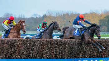 Le Milos makes the difference as Dan Skelton fans take over the top of the table