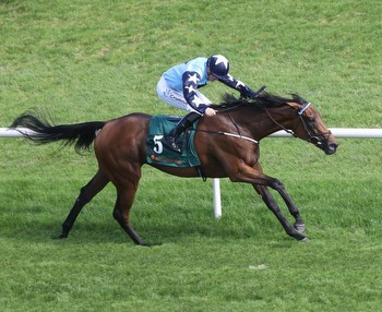 leading 1,000 Guineas fancy Kitty Rose returns to action