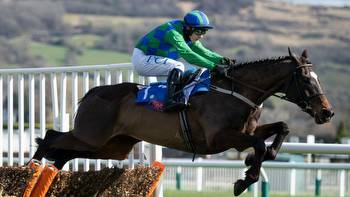 Leading Arkle fancy Appreciate It to remain over hurdles after untimely setback