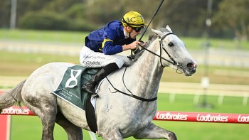 Leading Melbourne Cup chance out for the spring