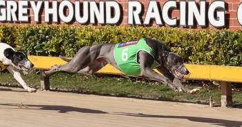 Leading Victorian greyhounds trainer David Geall looks for a win in the Ladbrokes Million Dollar Chase