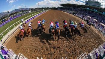 Learn the Language of Horse Racing: Terms and Phrases to Know at the Breeders’ Cup