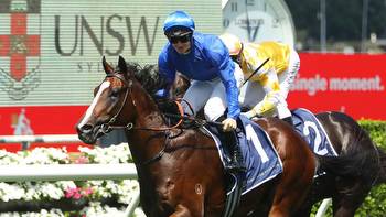 Learning To Fly, Cylinder impress in final runs before Golden Slipper