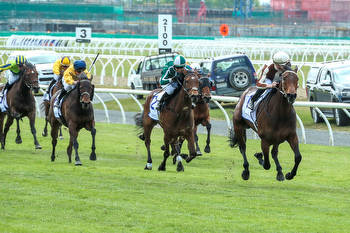 Legarto Smashes Rivals In New Zealand 1000 Guineas