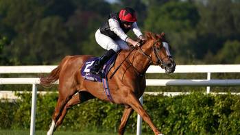 Leopardstown Friday review: Kyprios and Alfred Munnings win for Aidan O'Brien