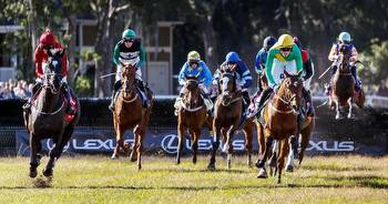 Leslie Young to claim 2nd steeplechase trainer title in SC