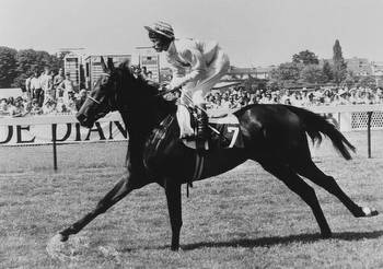 Lester Piggott, Superstar British Jockey, Dies at 86