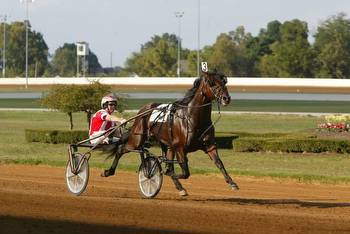 Like father, like son? Somebeachsomewhere's Nova Scotia colt shows promise