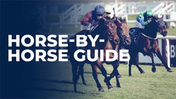 Lincoln Handicap Tips: Horse by horse guide to Doncaster feature Saturday March 23