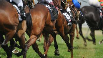 Linebacker heads field for South Africa's premier race, the Durban July Handicap