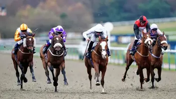 Lingfield racing tips: Best bets for Monday, January 15
