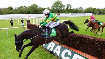 Listowel tips: Galway Plate runner-up Darasso can go one better in Kerry National