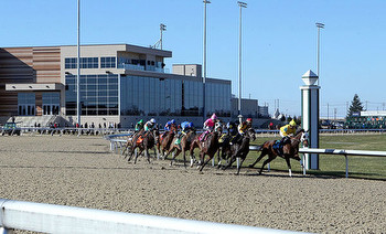 Live racing resumes at Turfway Park Wednesday with the return Holiday Meet through December 30