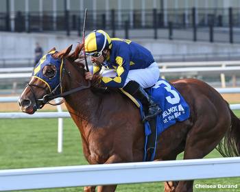 Living Magic, Brocknardini Square Off in $120K Tepin