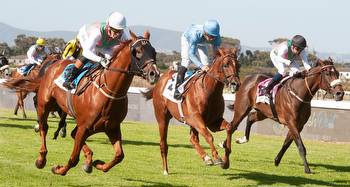 Local contender See It Again tops the log and the betting for Durban July