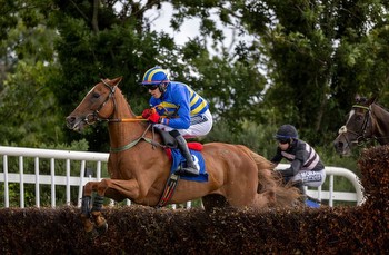 long-term Grade 1 aim for Captain Conby after successful chase debut