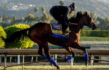 Longines Breeders’ Cup Classic: guide to the runners and tip
