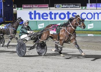 Look out! NZ harness racing stars are coming to Town