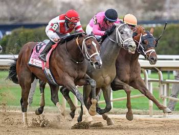 Lord Miles Kentucky Derby Odds 2023 Churchill Downs Race