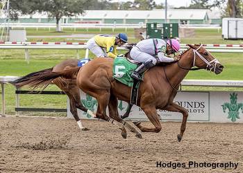 Louisiana Champions Preview Weekend Features Six New Stakes At Fair Grounds