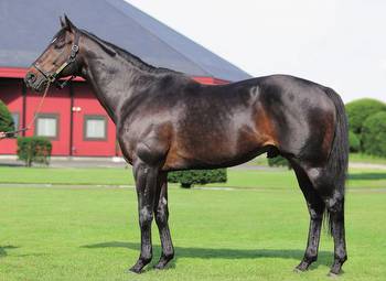 Lovely Day Sires First Stakes Winner At Hanshin