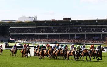 Lucky 15 Tips Today: 4 picks for day 2 at Cheltenham