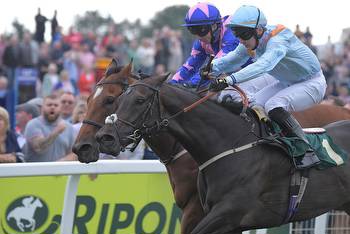 Lucky 15 Tips Today: Bank Holiday Monday's best bets