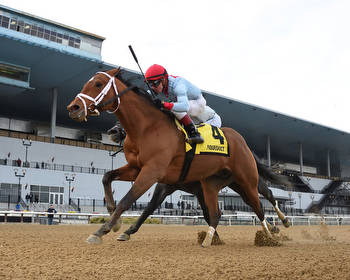 Lugan Knight Holds Off Arctic Arrogance To Win Kentucky Derby Prep