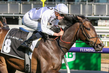 Lunar Flare out of Melbourne Cup with career ending injury