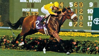 Lure: The Horse That Switched Career Fields and Came Out on Top