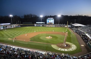 ‘Ma’am we are a baseball team’: Harrisburg Senators remind Twitter that they play baseball, can’t change voting laws