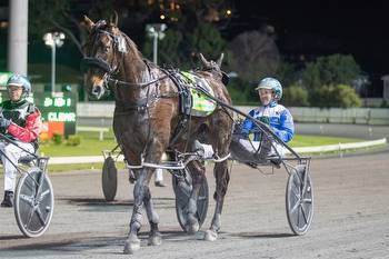 Mach the lone interstate raider in Kilmore Cup