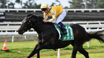 Magic Millions $1m colt makes winning debut at Warwick Farm
