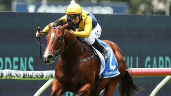 Magic Millions winner Storm Boy sold in potential $50m deal