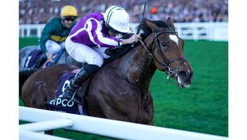 Magical out of Breeders’ Cup with temperature, will be retired