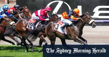Maharba slips in to Sydney on Sires mission
