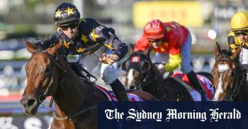 Maher-Collett partnership blossoming on track to Rose with King Colorado