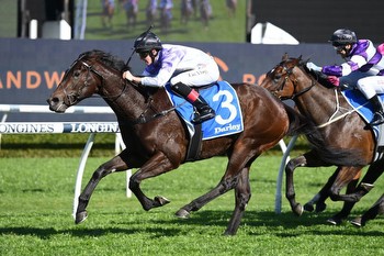 Maher filly Invincible again