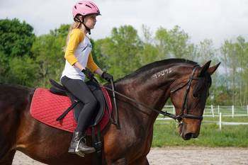 Maine horse people raise funds for retired Standardbreds
