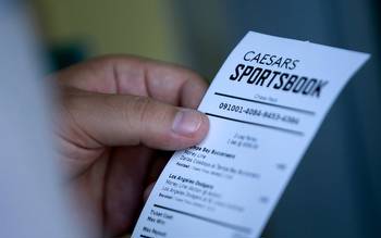 Maine Sports Betting: Online Sportsbooks. Apps, Launch, and More