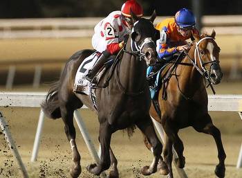 Make It Big remains unbeaten winning Springboard Mile