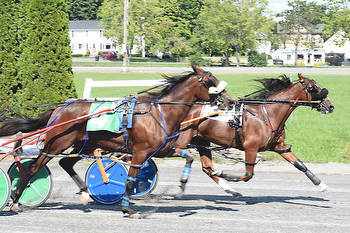 Make-up day held for Maine Breeders Stakes