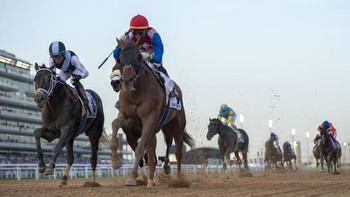 Making Money Betting Japanese Raiders in UAE Derby